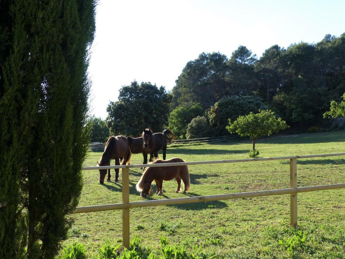 Domaine Des Bruguieres Βίλα Entrecasteaux Εξωτερικό φωτογραφία
